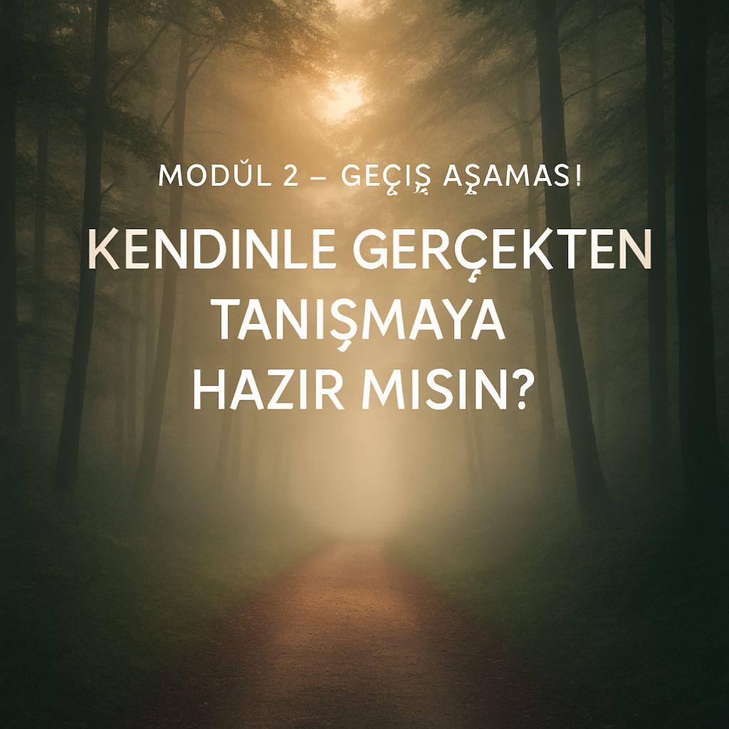 Geçiş Aşaması Görseli